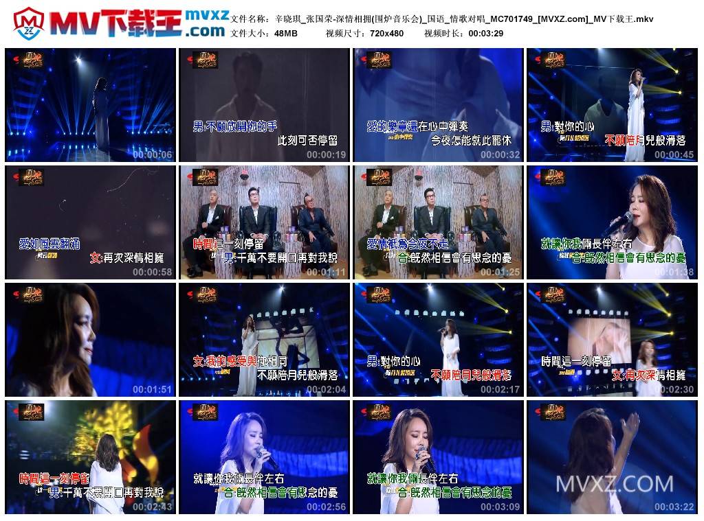 辛晓琪_张国荣-深情相拥(围炉音乐会)_国语_情歌对唱_MC701749